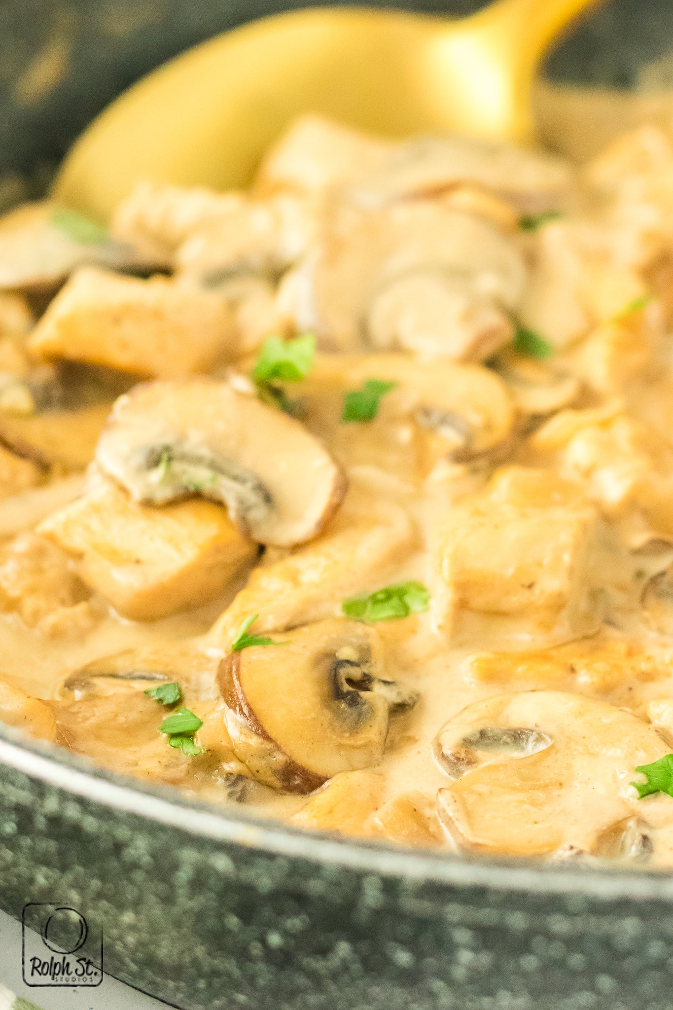 Exclusive Chicken Stroganoff