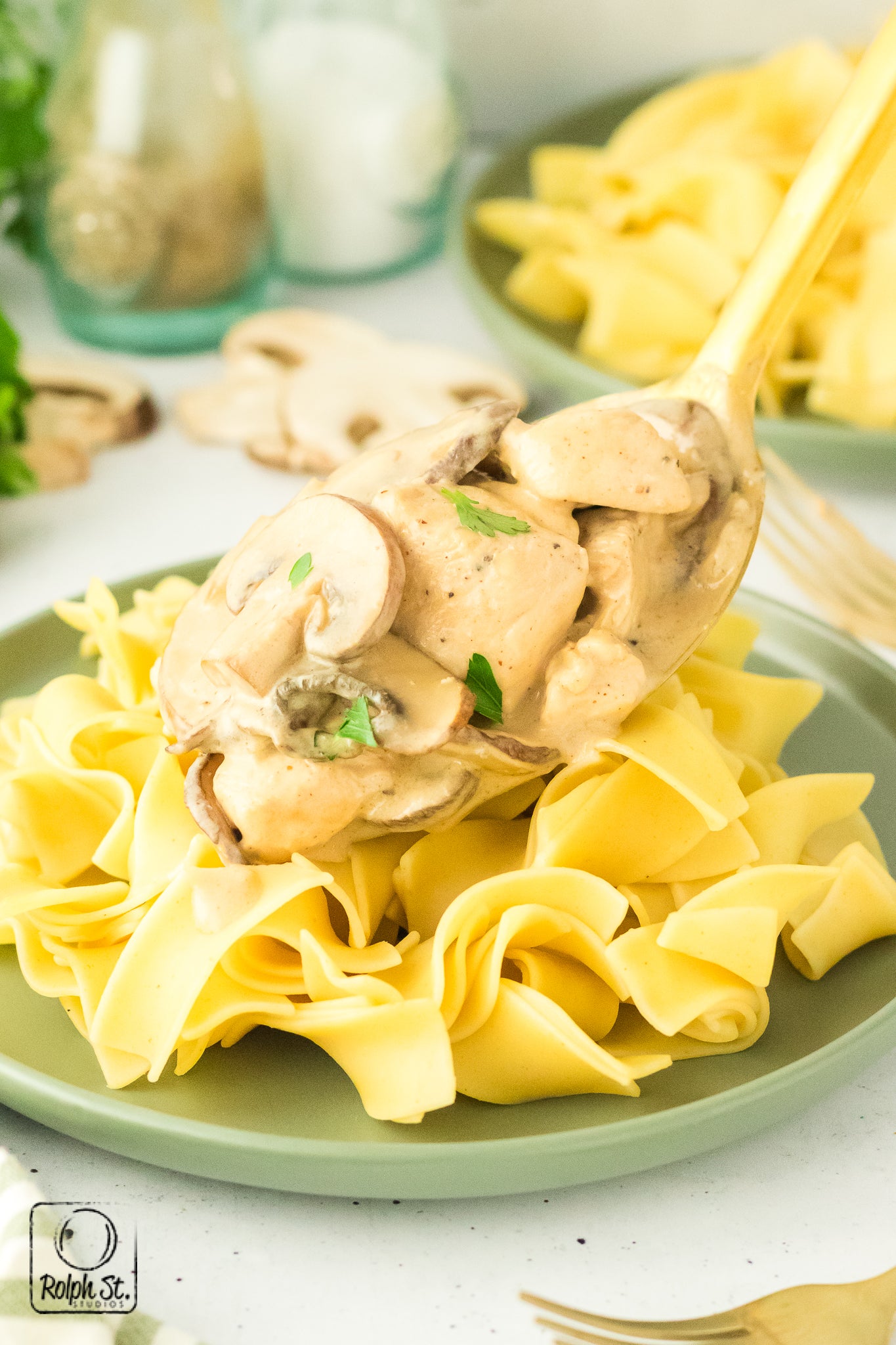 Exclusive Chicken Stroganoff