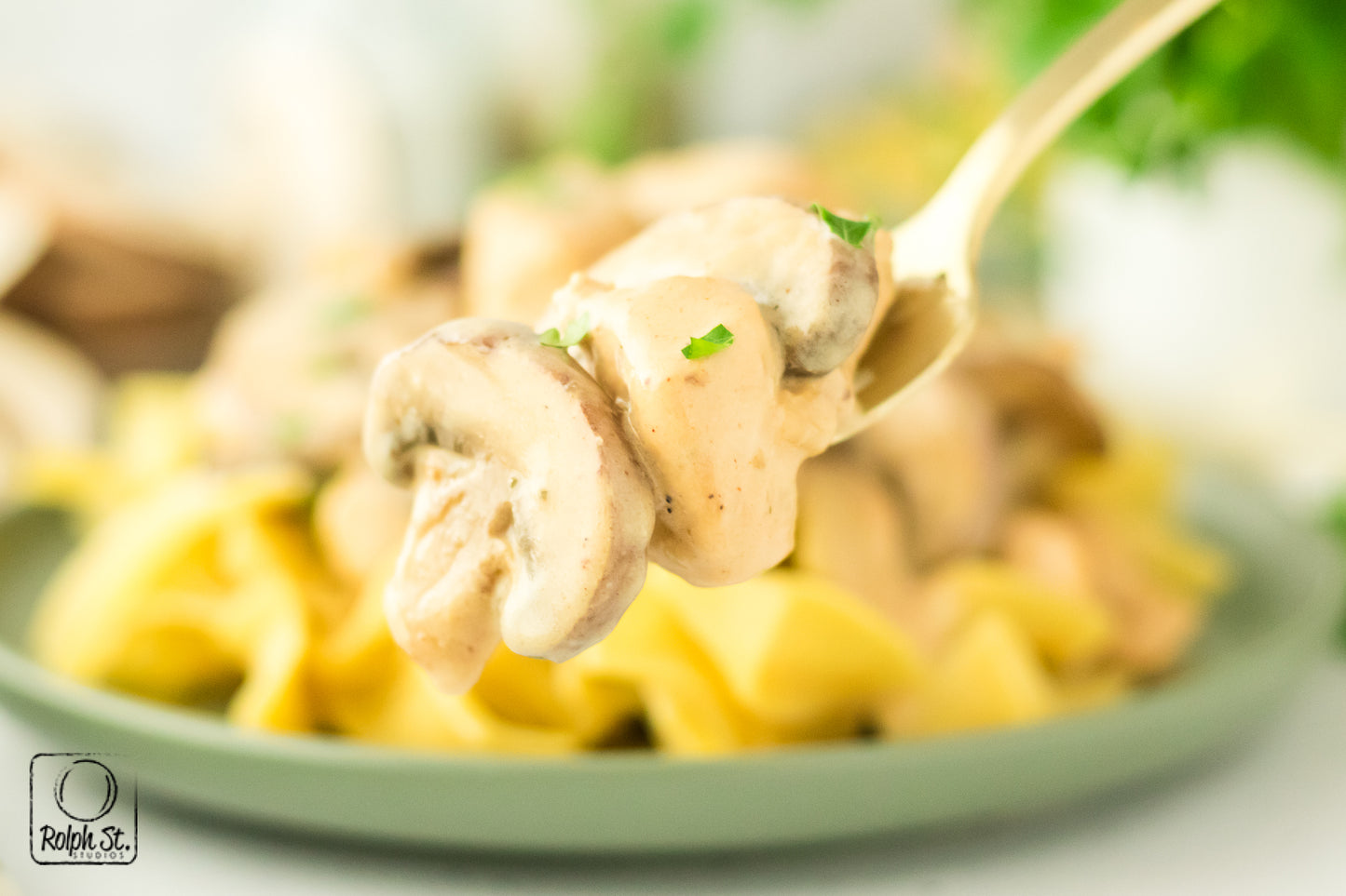 Exclusive Chicken Stroganoff