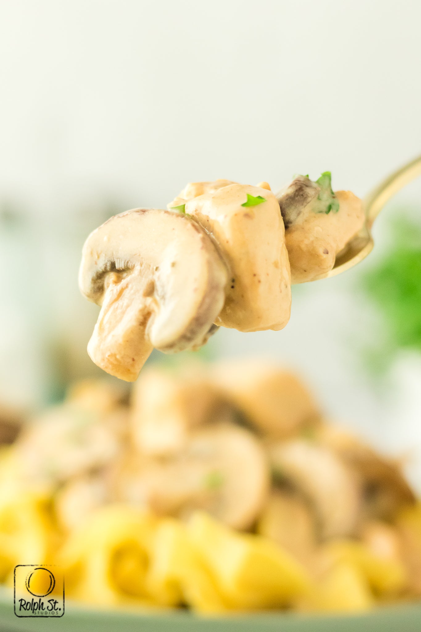 Exclusive Chicken Stroganoff